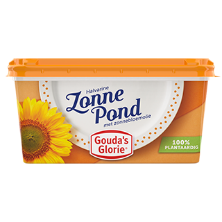 Zonne Pond
